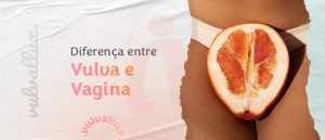 Read more about the article Qual é a diferença entre vulva e vagina?